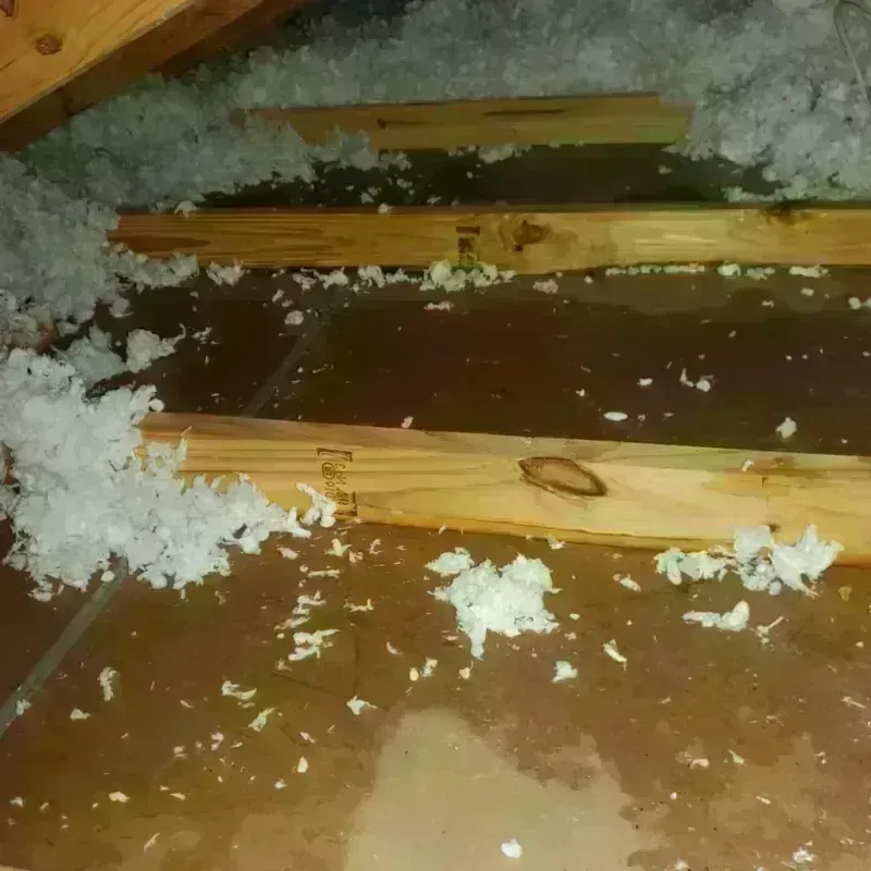 Attic Water Damage in Monroe County, OH