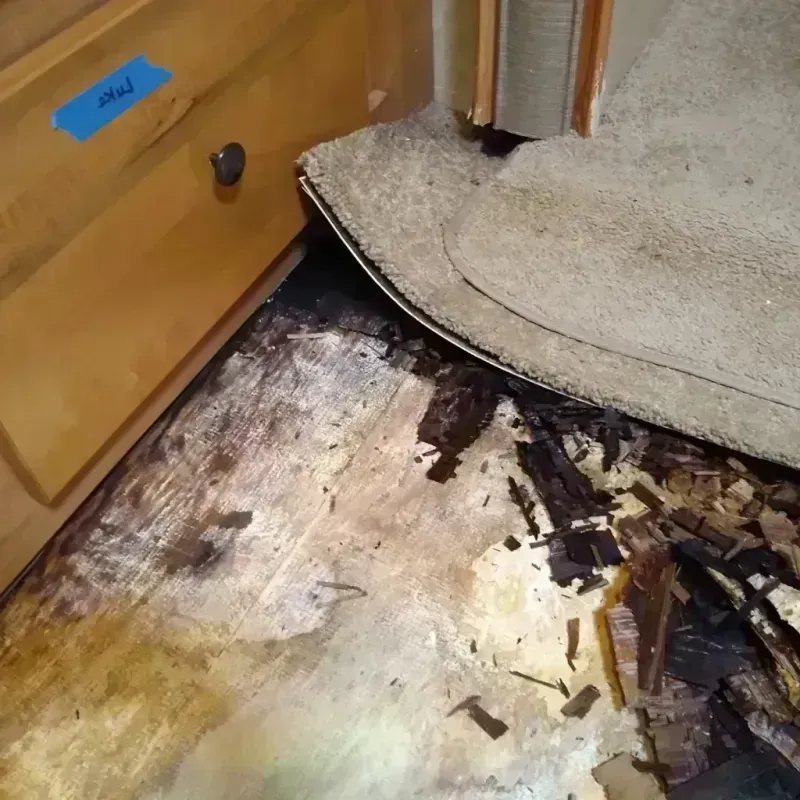 Wood Floor Water Damage in Monroe County, OH